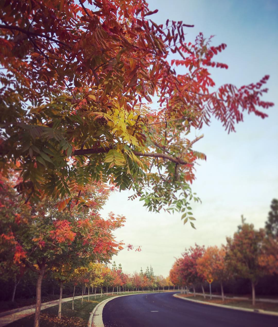 @reamaze on Instagram